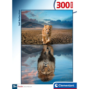Self Reflection - 300 parça