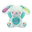 Load image into Gallery viewer, Artic Bunny - Northen Lights Projector
