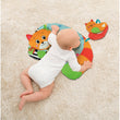 Load image into Gallery viewer, Kitty Cat Pillow
