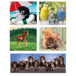 Load image into Gallery viewer, Animal Friends - 1x60 + 2x48 + 4x30 + 3x18 parça
