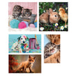 Load image into Gallery viewer, Animal Friends - 1x60 + 2x48 + 4x30 + 3x18 parça

