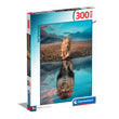 Load image into Gallery viewer, Self Reflection - 300 parça
