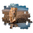 Load image into Gallery viewer, Self Reflection - 300 parça

