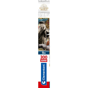 Harry Potter - 300 parça