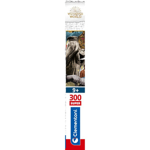 Harry Potter - 300 parça