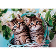 Load image into Gallery viewer, Lovely Kitty Twins - 60 parça
