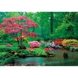 Load image into Gallery viewer, Raindrops Lullaby - 500 parça
