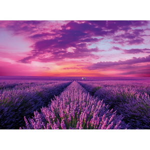 Lavender Field - 1000 parça