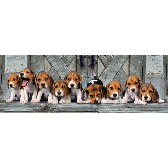 Beagles - 1000 parça