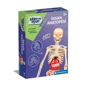 Bilim ve Oyun - İnsan Anatomisi