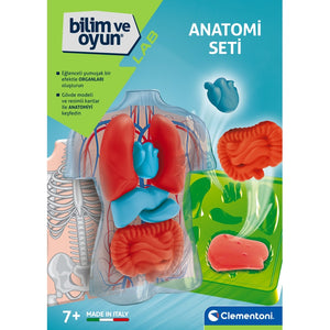 Anatomy of the Skeleton and Organs