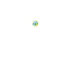 Load image into Gallery viewer, CANDELE + REFILL                        =PRG=
