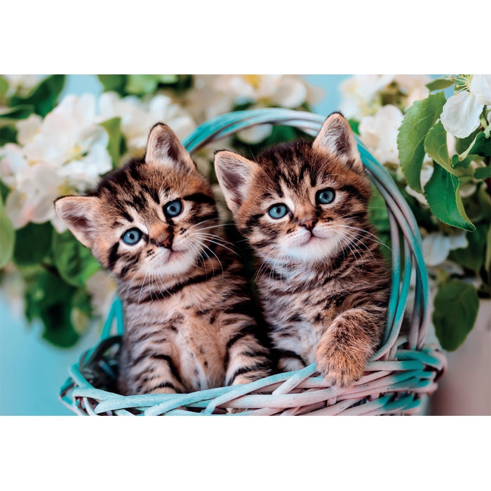 Lovely Kitty Twins - 60 parça