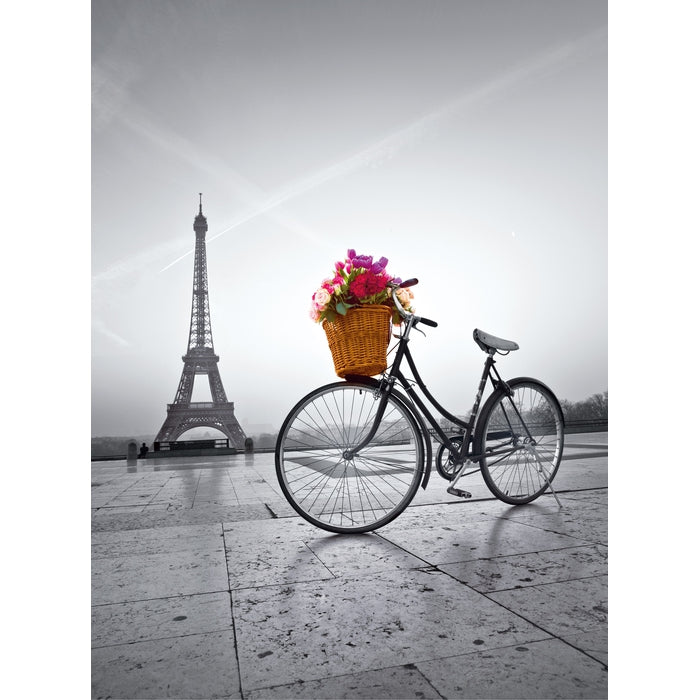 Romantic promenade in Paris - 500 parça