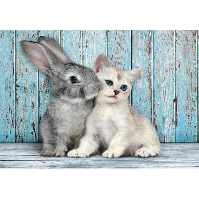 Cat & Bunny - 500 parça