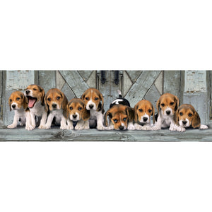 Beagles - 1000 parça