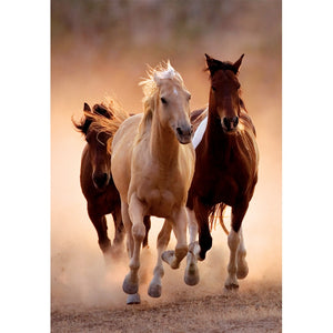 Running Horses - 1000 parça
